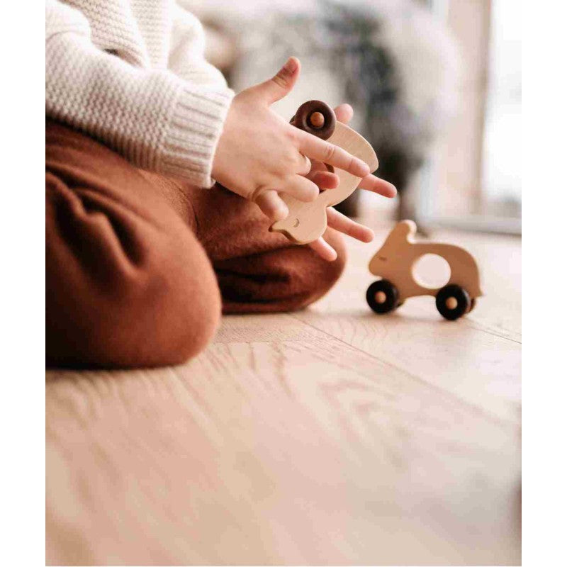Houten eend op wielen – afbeelding 2