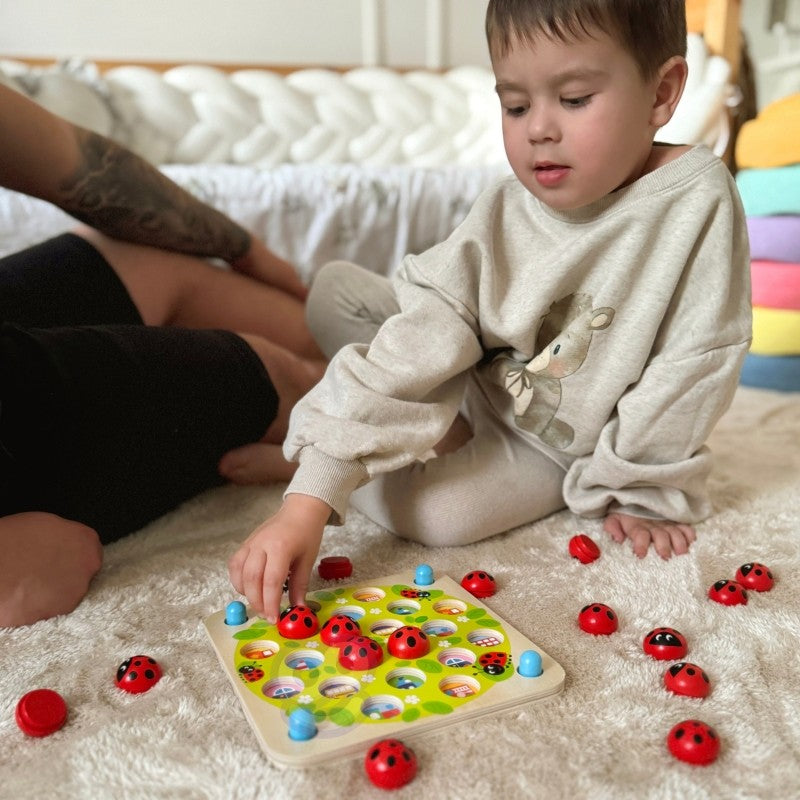 Houten puzzel memory lieveheersbeestjes