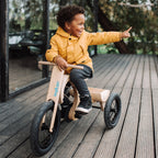 Loopfiets driewieler-uitbreiding voor leg&go 3-in-1 – afbeelding 10
