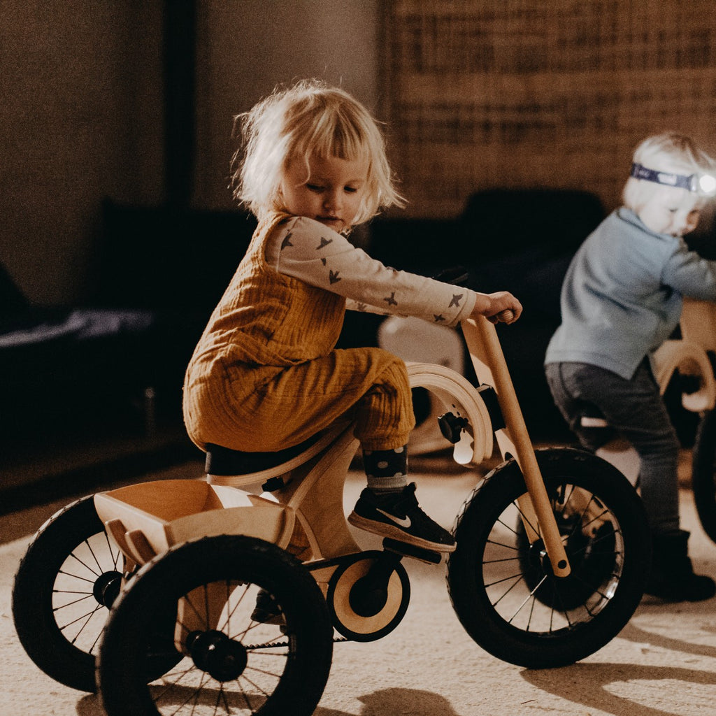 Loopfiets driewieler-uitbreiding voor leg&go 3-in-1 – afbeelding 7