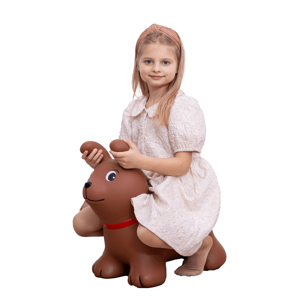 Springdier hond bruin – afbeelding 3