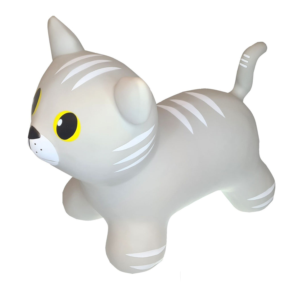 Springdier kat grijs