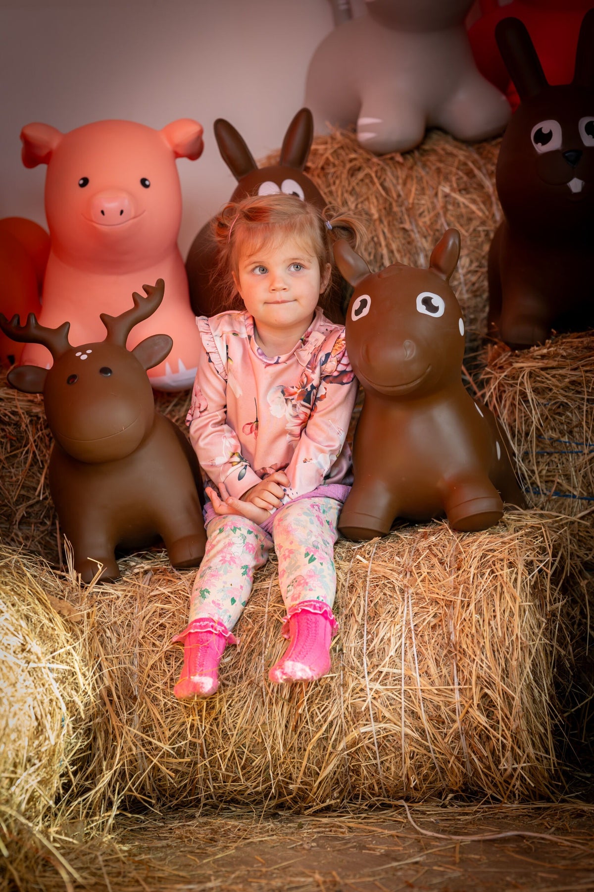 Springdier paard bruin – afbeelding 2